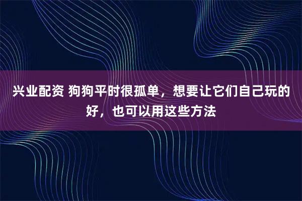 兴业配资 狗狗平时很孤单,想要让它们自己玩的好,也可以用这些方法