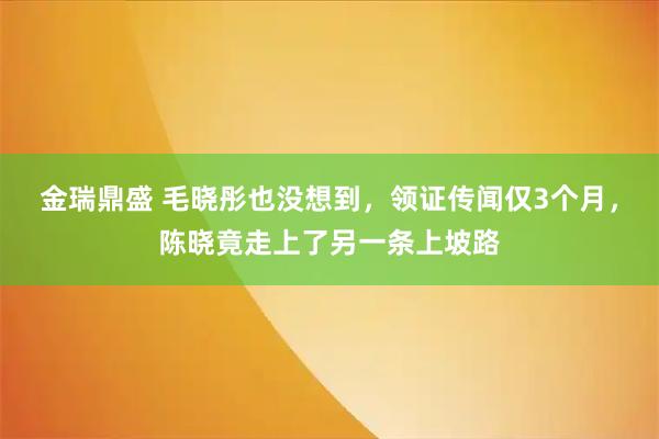 金瑞鼎盛 毛晓彤也没想到，领证传闻仅3个月，陈晓竟走上了另一条上坡路